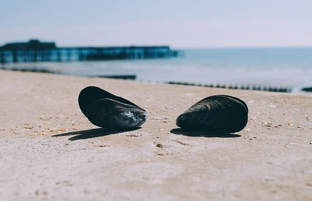 Erin Veness Photography