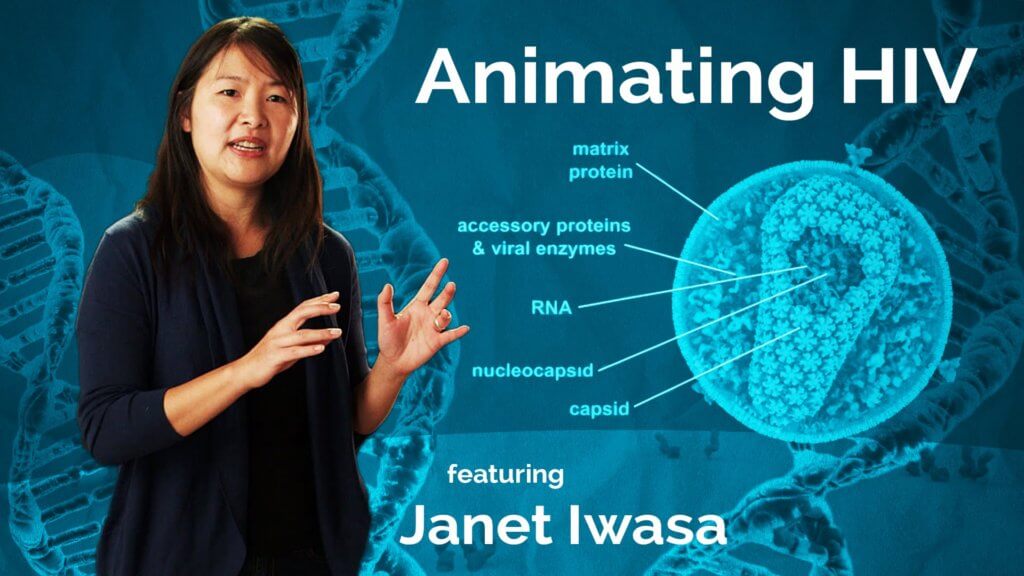 Janet Iwasa molecular animator