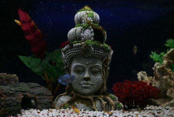 Self Reflection, Spirituality and Creativity Written by Cassandra Alexander - Buddha Photo from Unsplash